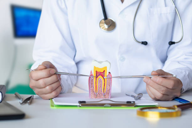 Best Emergency Root Canal Treatment in Roessleville, NY